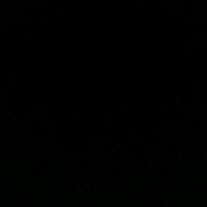 Meet your Posher, Darnisha